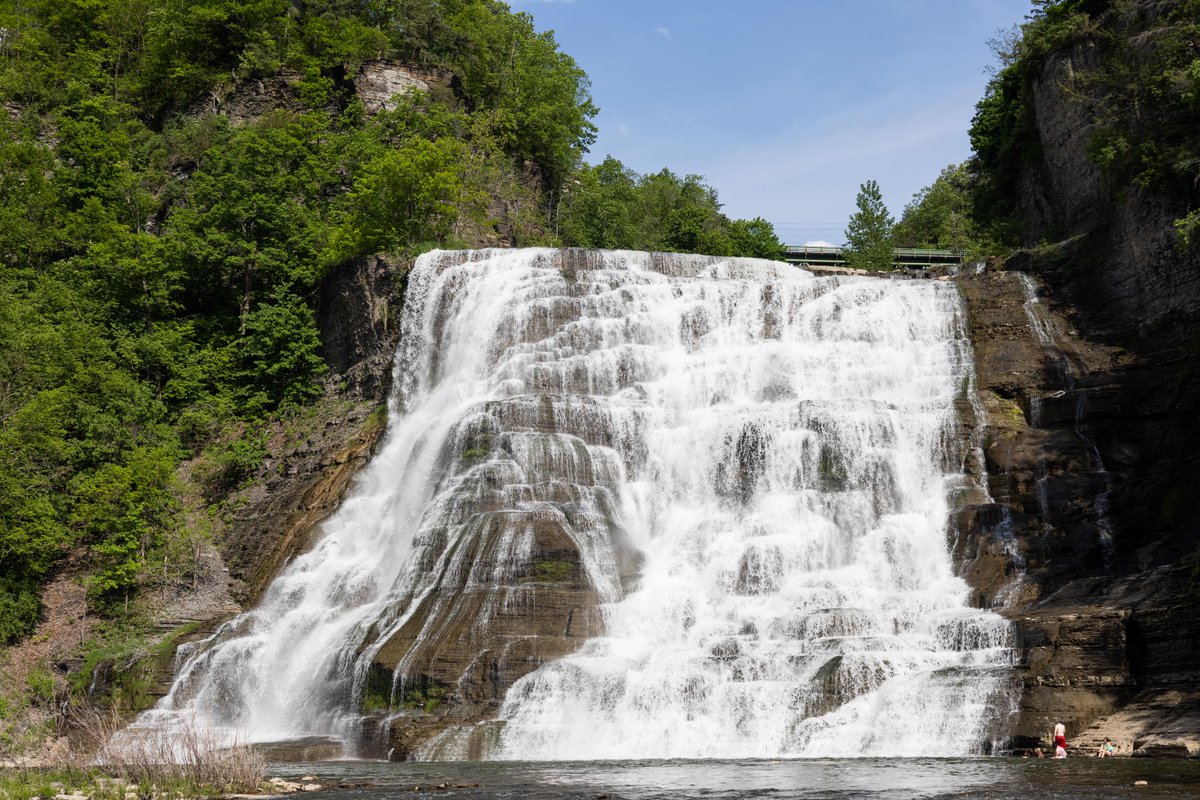 Syracuse University tweet media