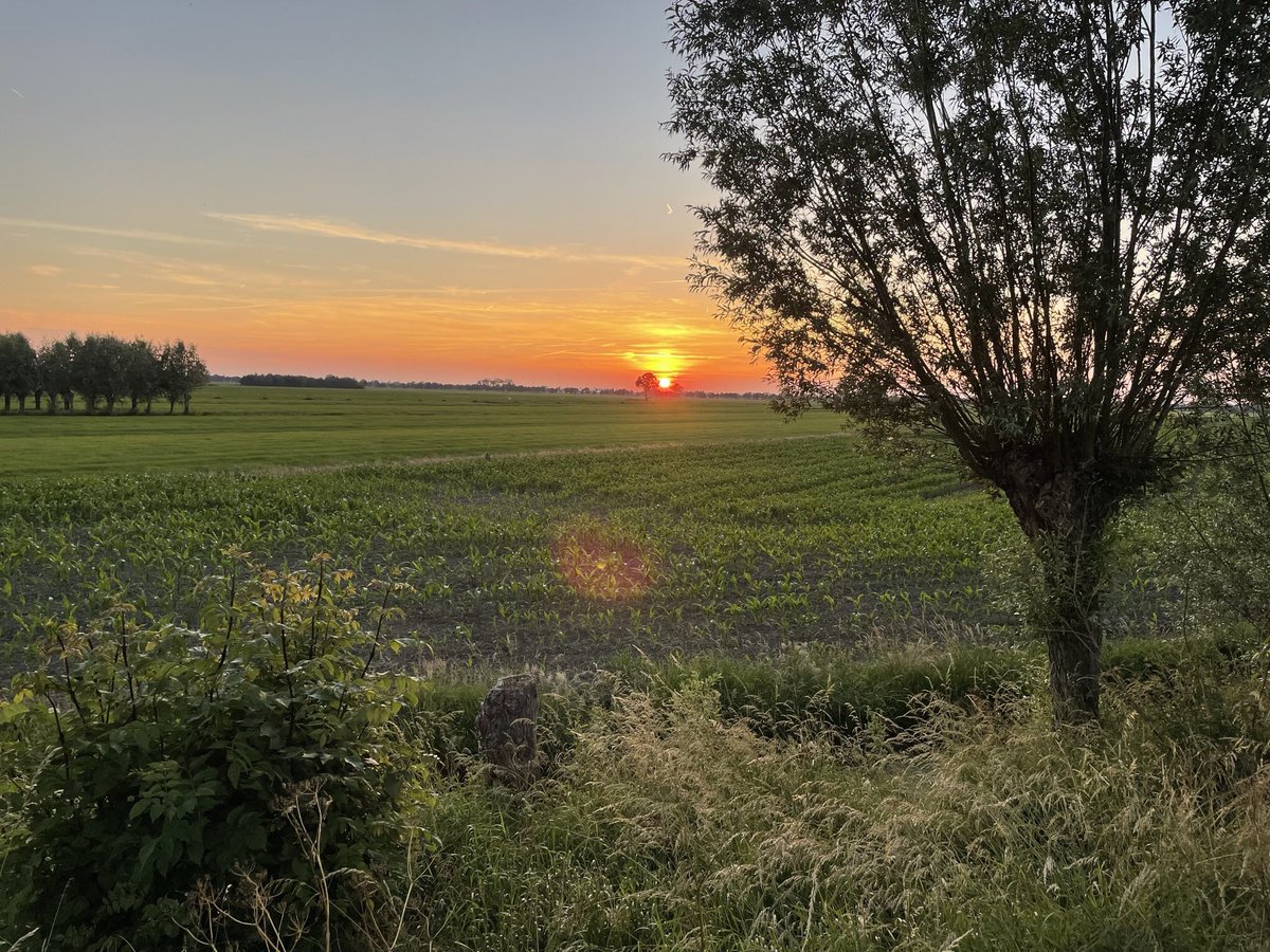 N210 dicht, dus via de prachtige linten op de fiets van en naar werk, en vanavond met dit uitzicht huiswaarts (Lopik naar Bergambacht t.h.v. Cabauw).