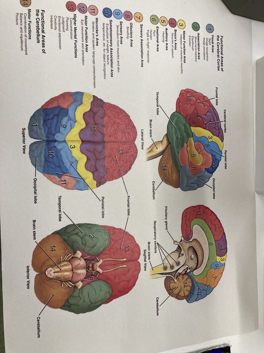 DrJanSmith's tweet photo. @GcuPsychology @SmartSTEMs @CaledonianNews @LanaGlasgow @drkazmac Such a fabulous day and privilege to introduce #psychology to the younger generations and other attendees #STEM #SmartStems https://t.co/gXcg9vLnN5