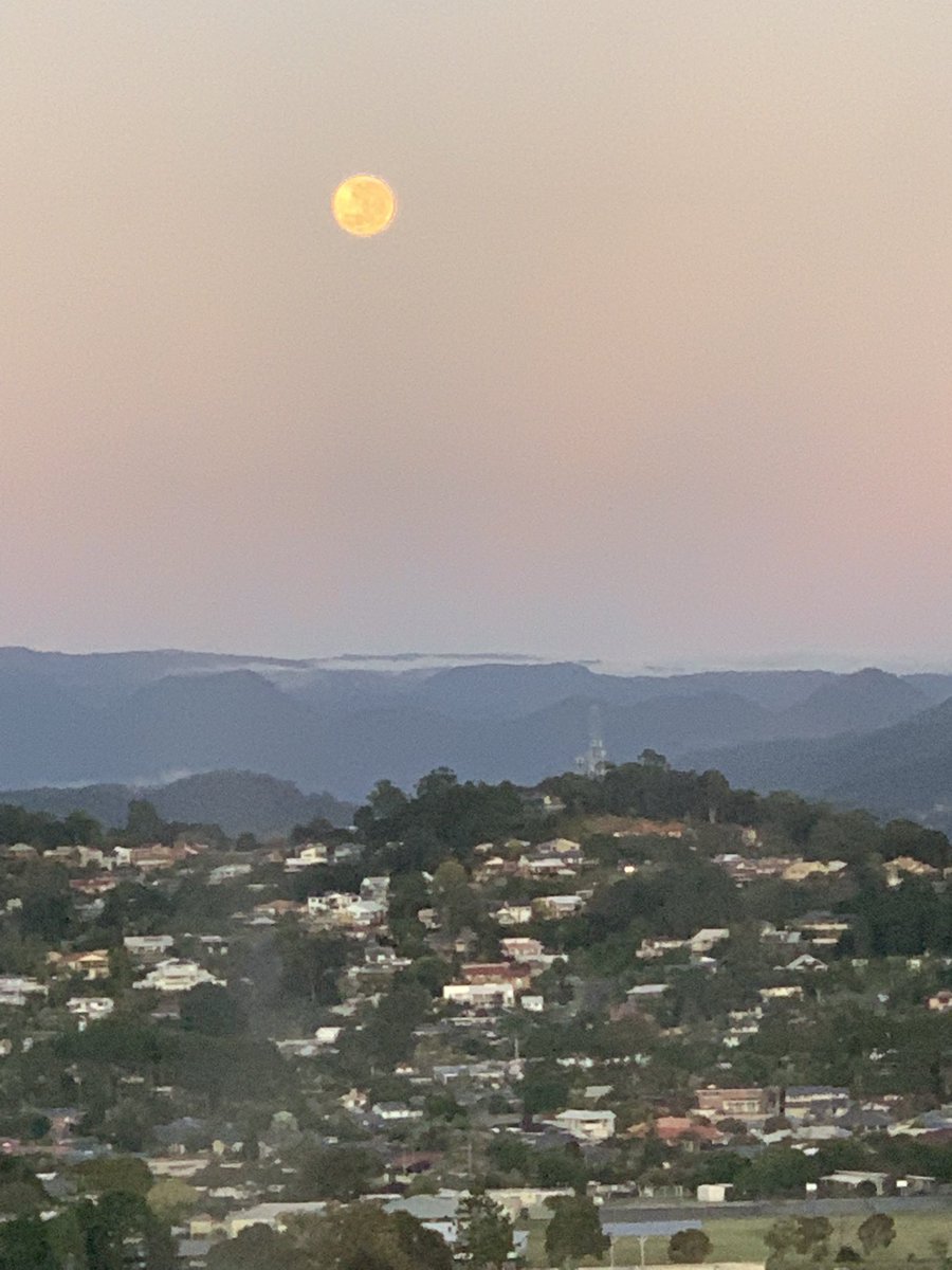 Full moon at dawn. Photo doesn’t do it justice.
