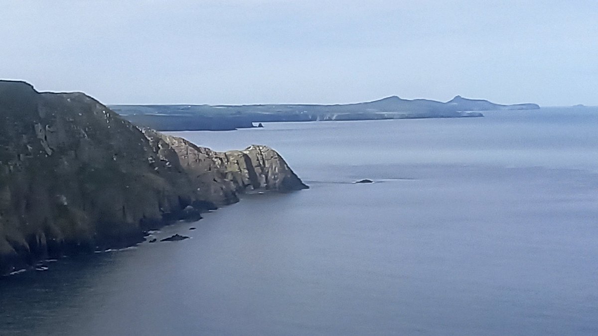 stdavidspembs's tweet image. Pwll Deri 
#Pembrokeshire #walescoastpath