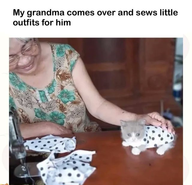 WholesomeMemes tweet media
