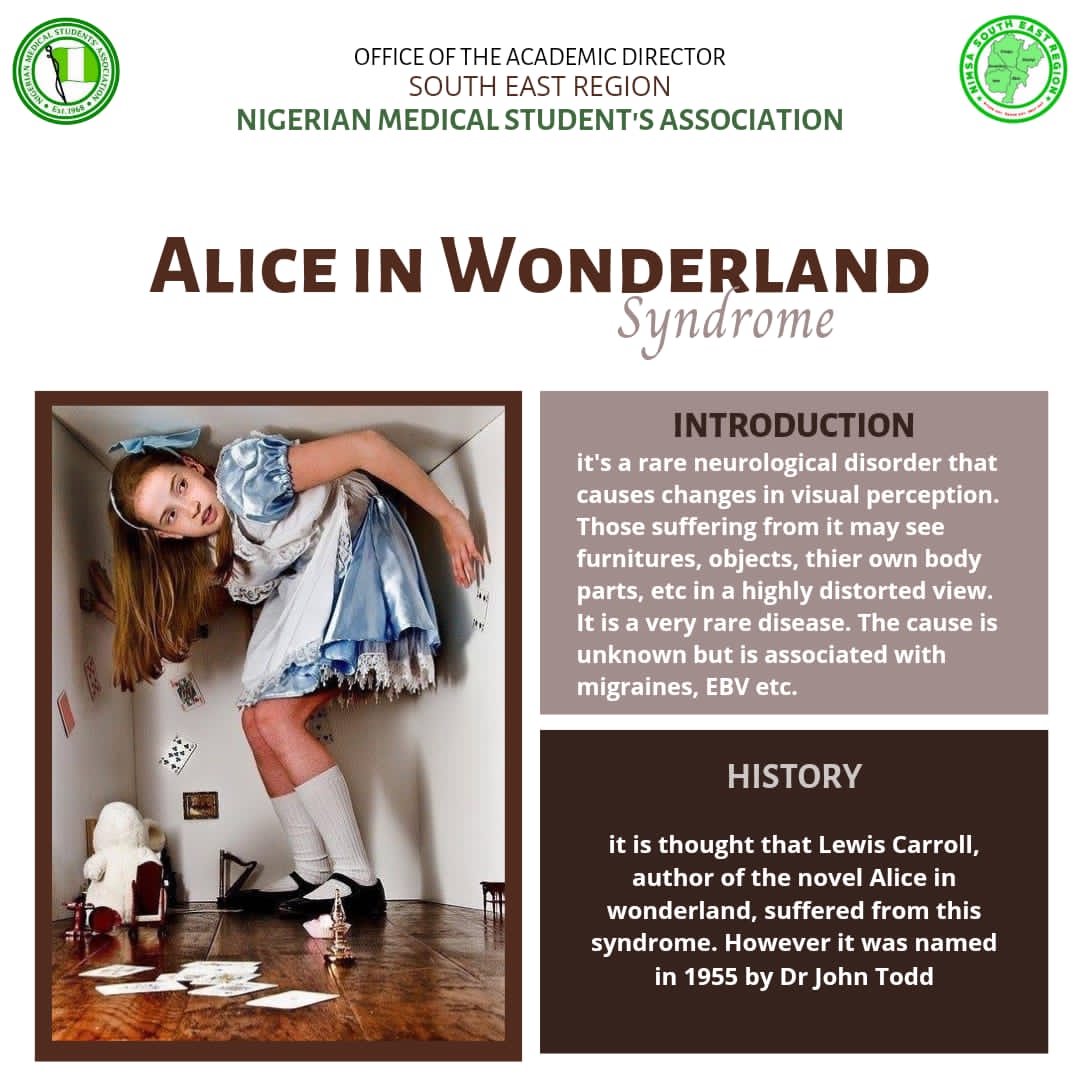 PygeeNonso's tweet image. 