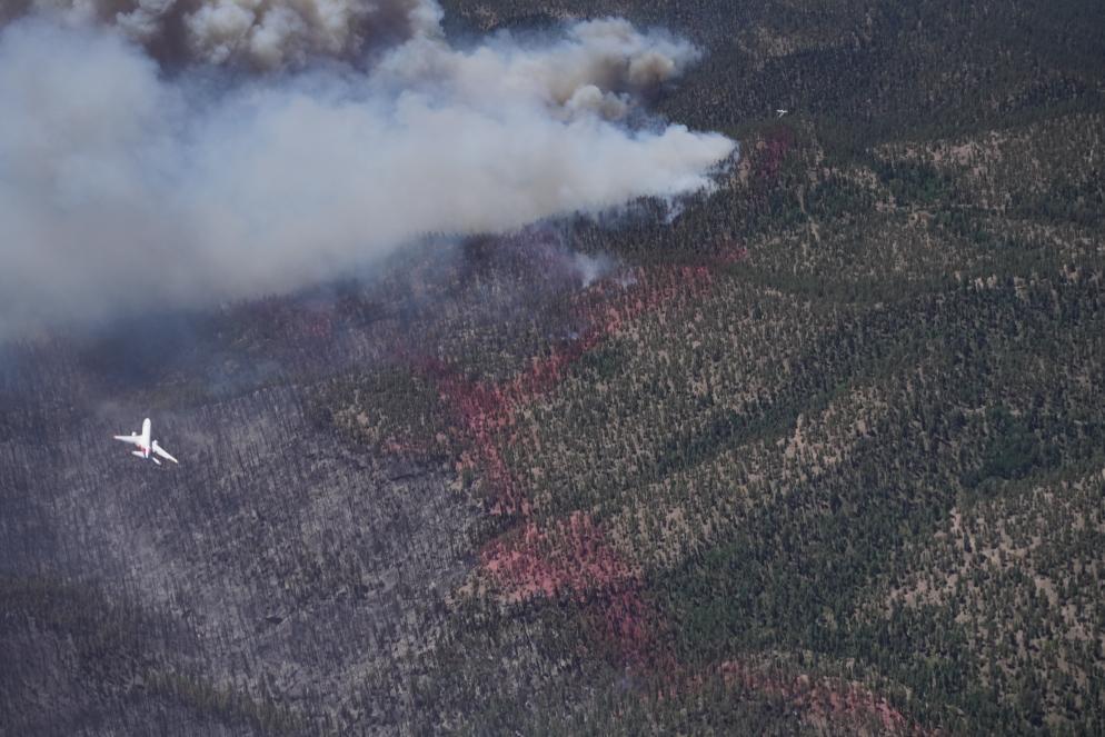 Ten_Tanker's tweet image. Photos from the #AirAttack perspective of the #MidnightFire in #NewMexico by @benjihegg.

#ReadyToServe #inthistogether #wildfireready #wildfireseason2022 #fireseason #aviationphotography #aviationdaily #aviationlovers