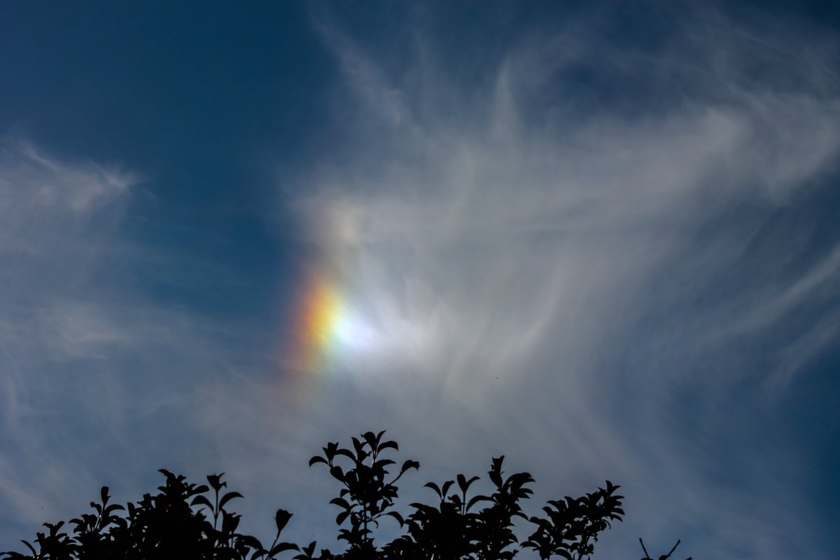 Spicey_Spiney's tweet photo. Between 18:27 - 20:10 BST 14th June 2022, we had several #parhelia (#sundogs) visible. Two of them were the brightest I've ever seen; in fact too bright to even look directly at them! Oxfordshire, UK #atmosphericoptics #opticaleffects #cirruscloud https://t.co/2tKpVYmPq1