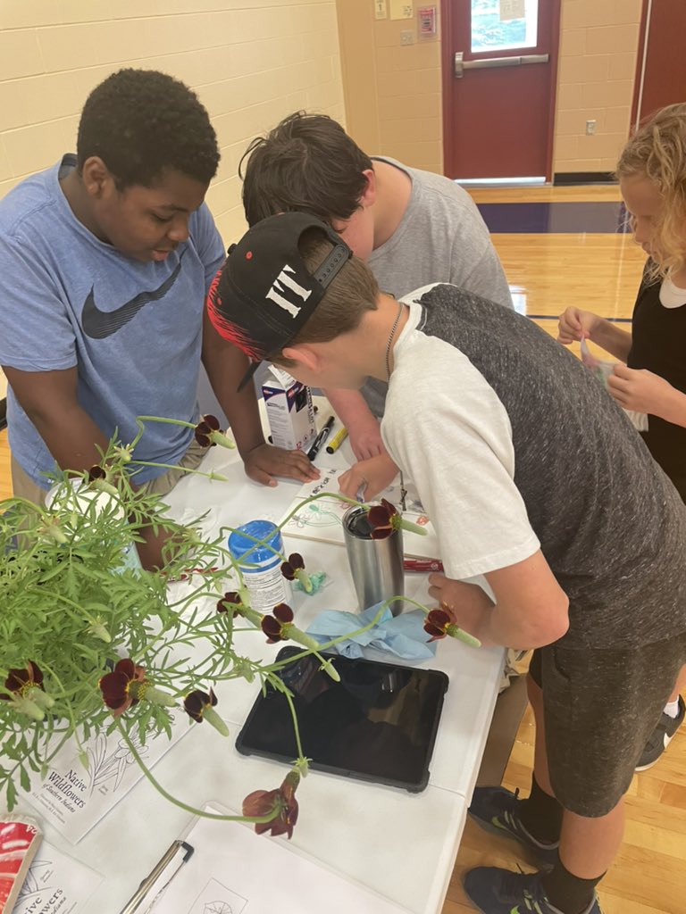 STEMtoThem's tweet photo. 6th and 7th grade students design and add ink to laser cut, up-cycled tiles featuring native pollinator plants for a future mosaic mural @Fairviewmccsc! 
Thanks to our dedicated high schoolers from @bhsspanthers  and @BHSNCougars and @UplandsMaker for the collective effort! https://t.co/cBKS8rN0AM