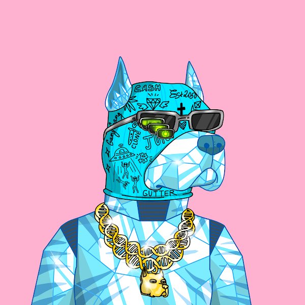 JayhawkNFT's tweet image. Looking to recruit a new gang member into @GutterCatGang . Either like, Retweet, or guess where I’m at, or comment your fav beach and you are entered. Will pick a winner tomorrow. Good luck 🤘🏼