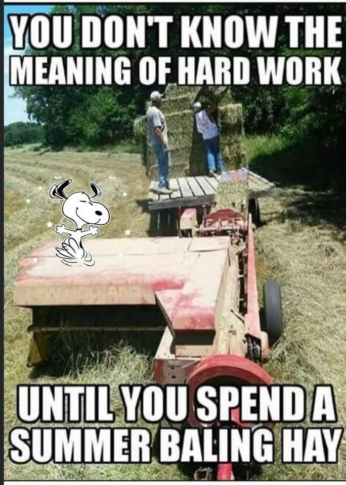 ChaddingtonSC's tweet photo. Ever done this!?? I have. Whew! https://t.co/YMz5KGrhbD