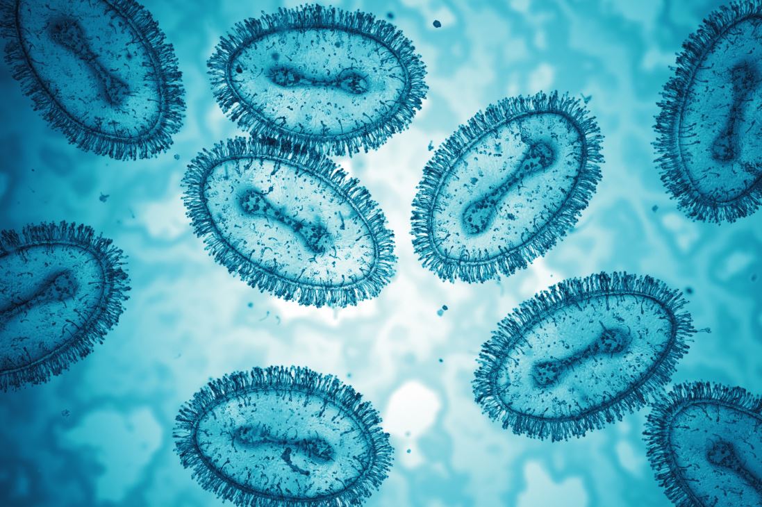 Check out our new monkeypox epidemiological report for the most up-to-date information on monkeypox cases in Ontario. ow.ly/XxhW50Jxz1L
