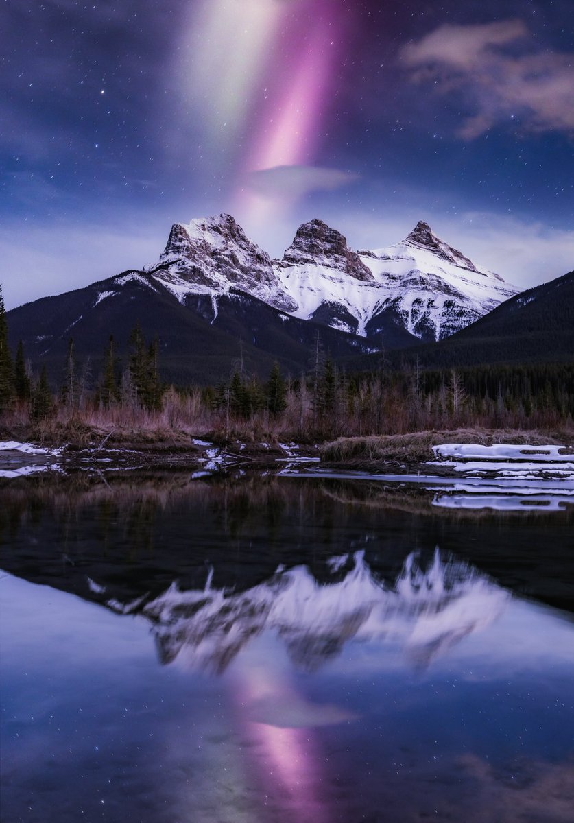 jennadixonphoto's tweet image. Chasing down a dream 💜💚💜