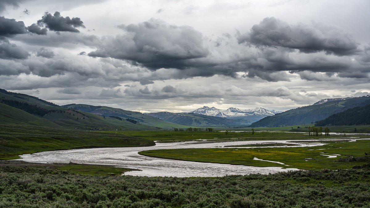 kevinlisota's tweet photo. Lamar Valley on the evening of Saturday, June 11. Two days later, it crested at  a record 17 ft. Watch this video from @YellowstoneNPS to see the same valley on Monday, June 13: https://t.co/5TzftYJZWw
#Yellowstoneflood #yellowstoneflooding #YellowStone https://t.co/6elm4zen8V