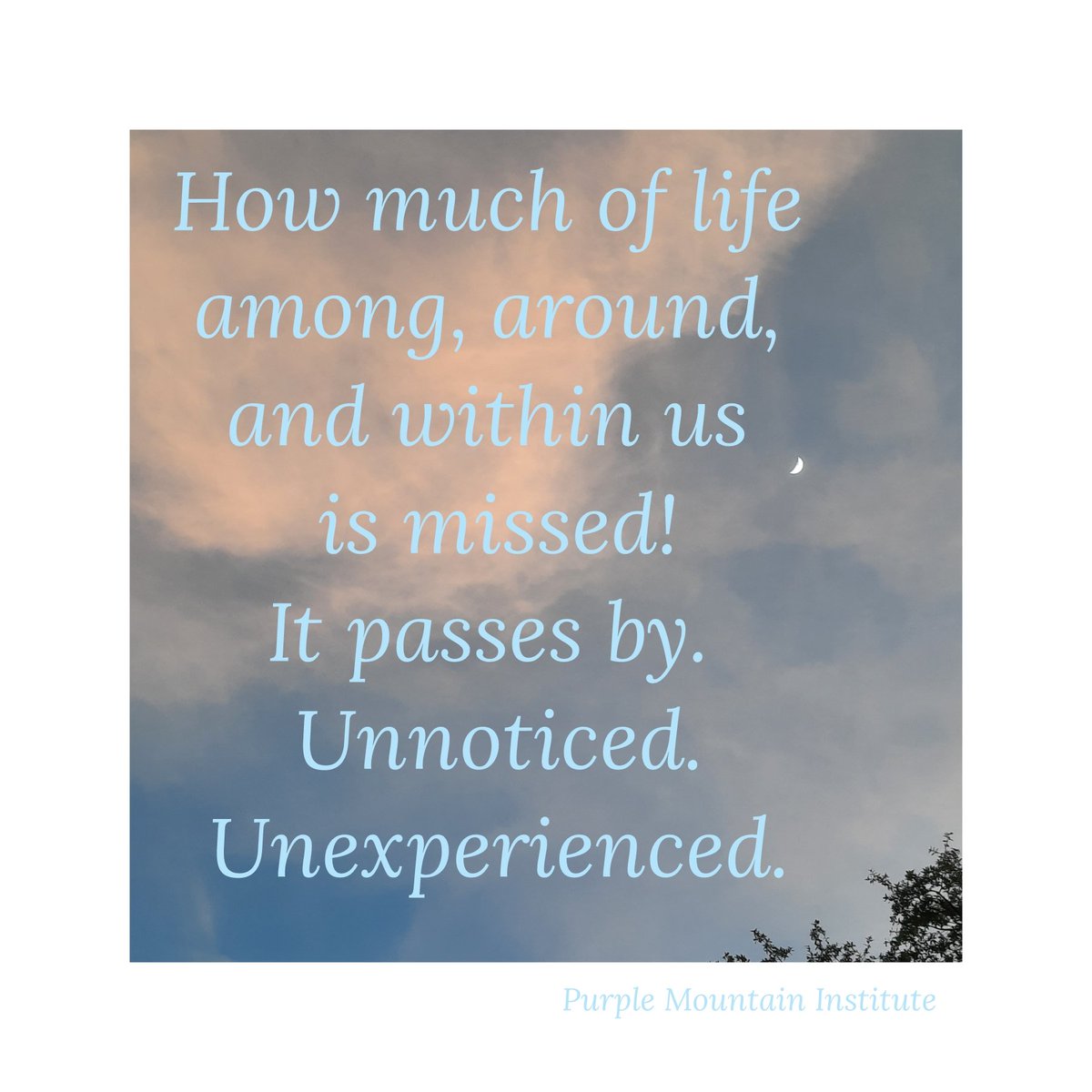 WholeHealthLife's tweet photo. Perhaps there is more going on than can be fully taken in during any moment. 

Sensations in the body.  
Sensory information &amp; related, or unrelated, thoughts, emotions, &amp; perceptions.

#cultivateawareness #moreinthemoment #PurpleMountaIninstitute #lifepassesby #noticingnow https://t.co/lWkuU63vyX