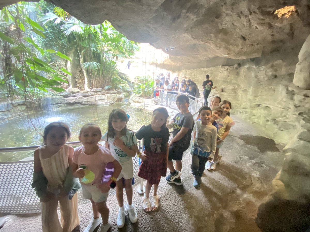 Mrs_KCastillo's tweet photo. Our student had such a fun and enriching time today at @hmns !🦖🦋🪐#SLI Summer Language Institute @KISD_Multling @kleinisd @Kathy_Vergara2 @aishaansari29 https://t.co/7O6tsk7qnp