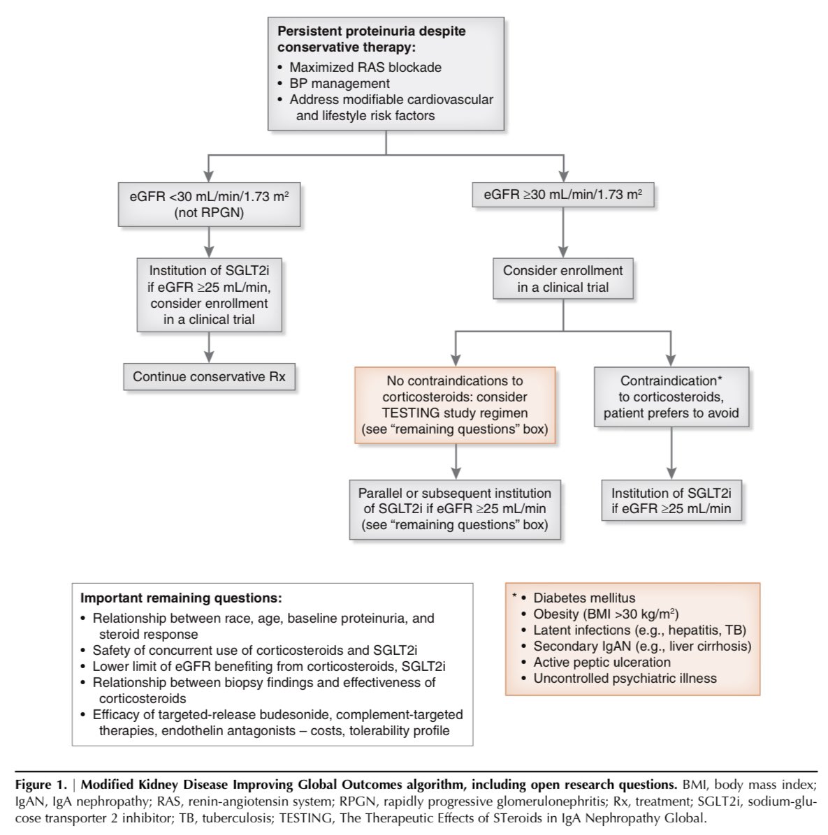 JonathanNefro's tweet photo. En nefropatía IgA, posicionan prescribir a las flozinas cuando la proteinuria persiste a pesar de maximizar el tratamiento no inmune y haya TFGe >25ml/min. Creo que pudiera ir desde antes

#ISNyoung

CJASN 2022
https://t.co/sCebxOszU6 https://t.co/6YMUYZoIjO