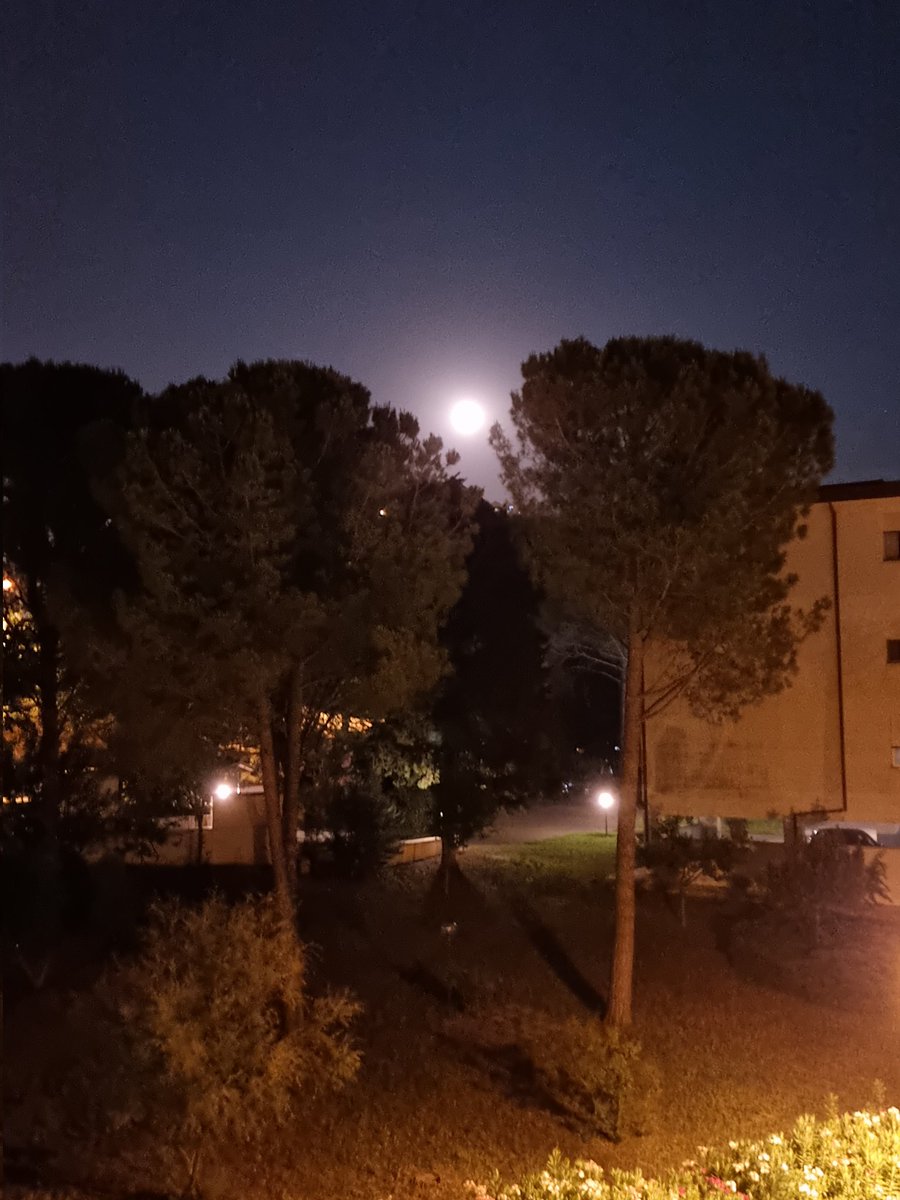 elysusy1's tweet photo. Spunta la super #LUNA delle fragole https://t.co/GyWhQBVoIp