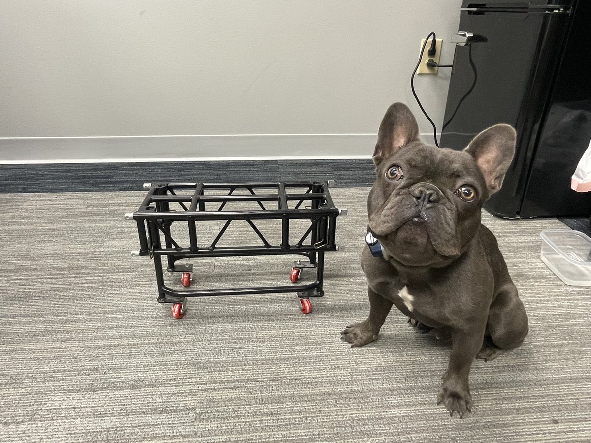 tylertrussinc1's tweet photo. It’s a baby #GTtruss hanging with a baby pup! #tylertruss 

#customdesign #tylerinnovation #concertruss #lightingdesigners #stagedesign #frenchiesofinstagram https://t.co/wArLs9f4mZ
