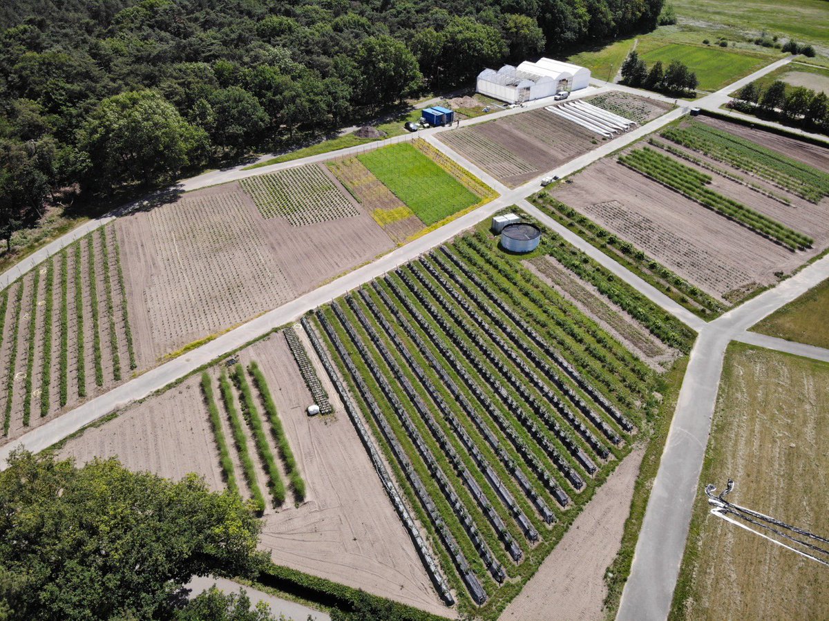 CompasAgro tweet media