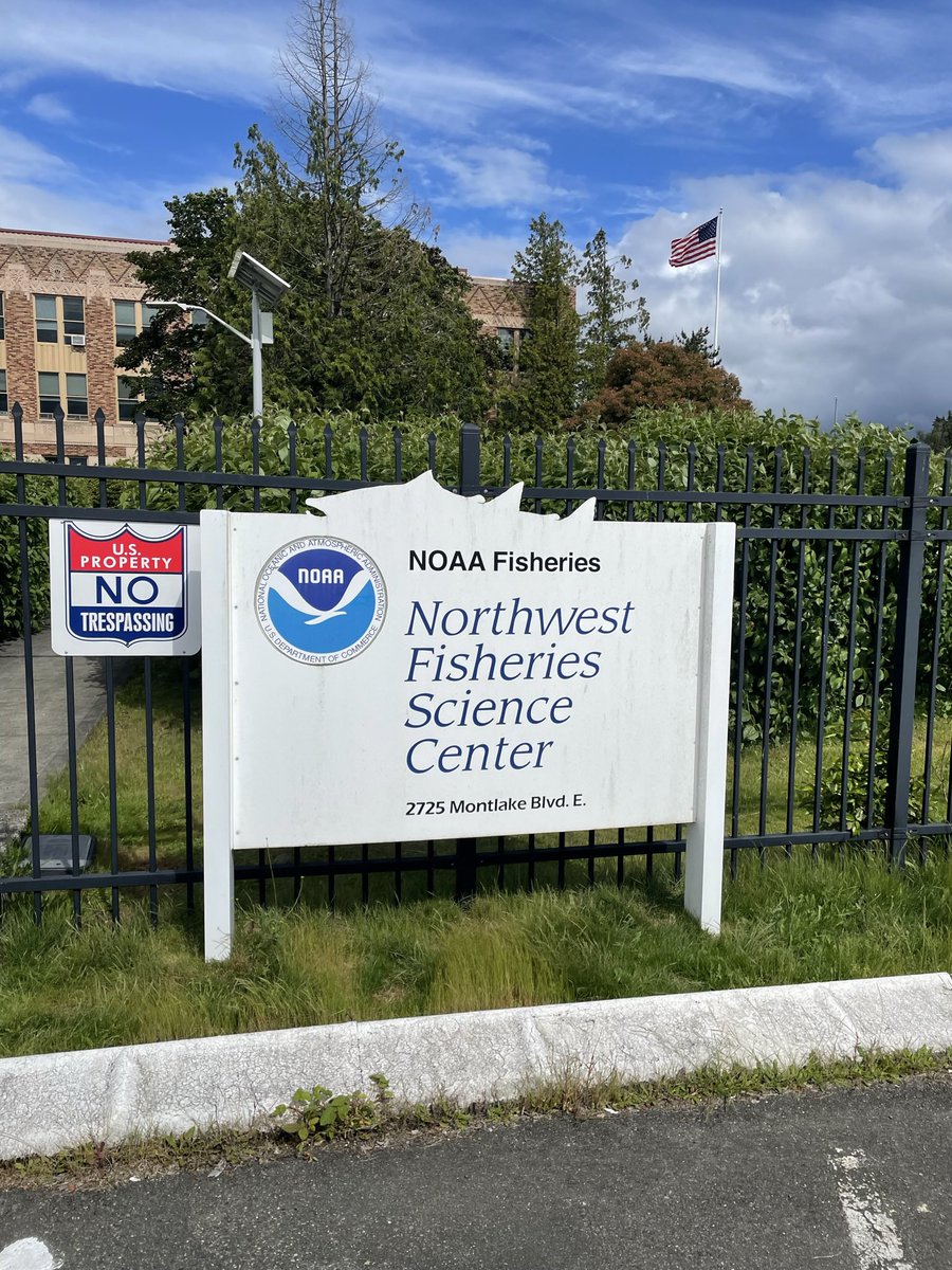 samengst's tweet image. First week completed at my new research job! Learning lots of new things, city living being one of them, but Seattle has definitely captured my heart.