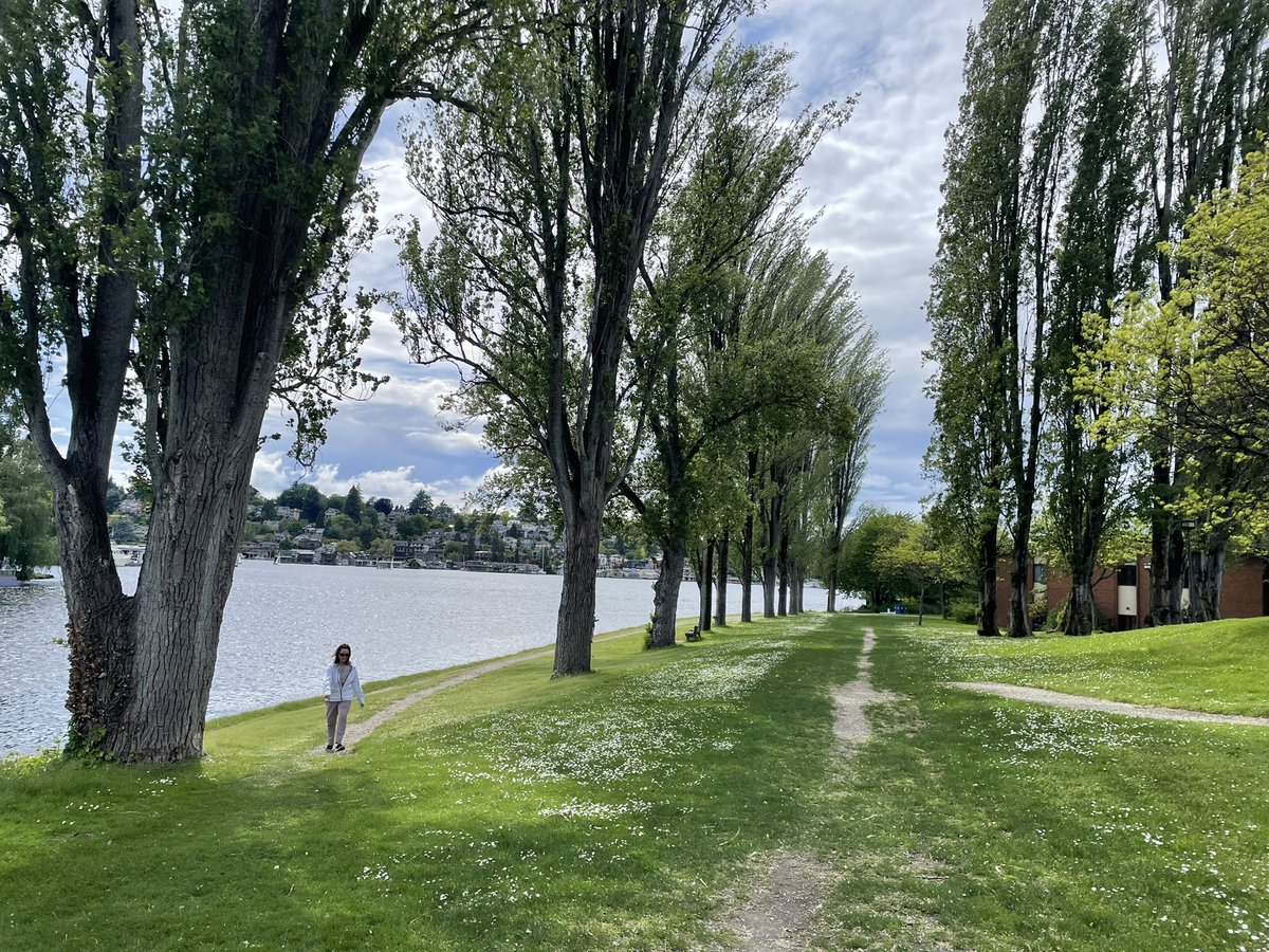 samengst's tweet image. First week completed at my new research job! Learning lots of new things, city living being one of them, but Seattle has definitely captured my heart.