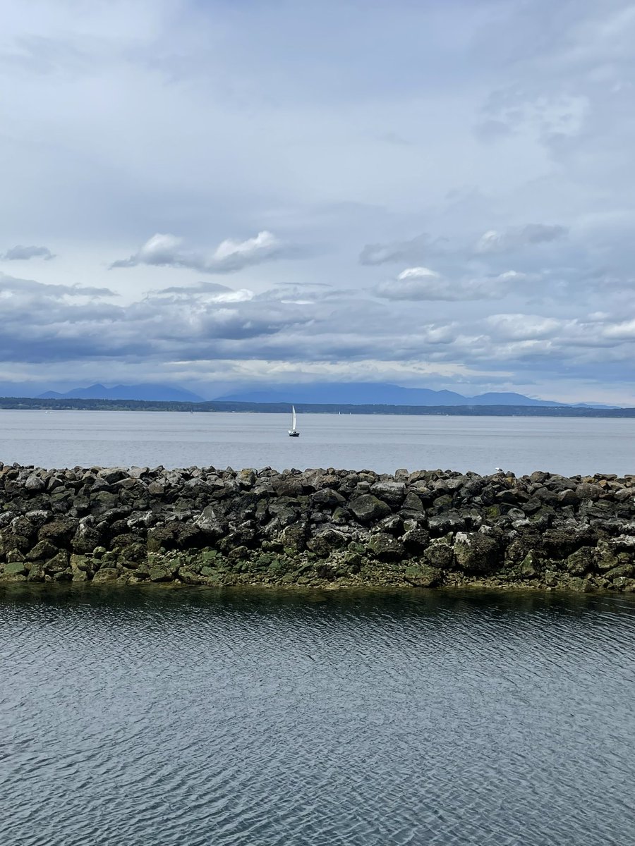 samengst's tweet image. First week completed at my new research job! Learning lots of new things, city living being one of them, but Seattle has definitely captured my heart.