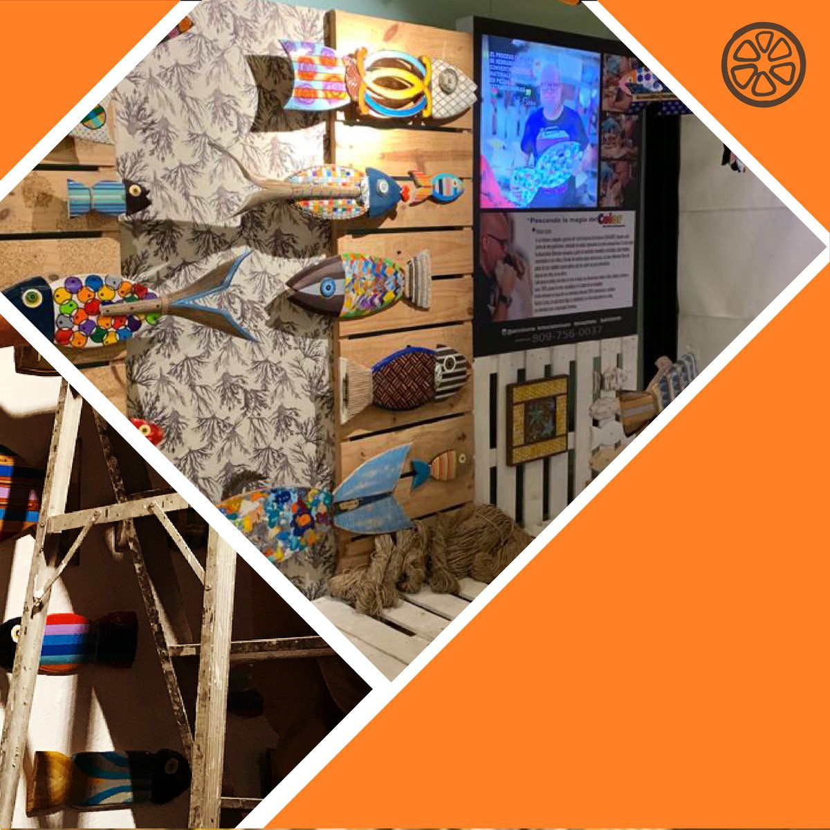 Popularenlinea's tweet image. Desde hace más de una década, Patricio se dedica a la elaboración de artesanías a base de materiales renovables y reciclados. Utiliza la madera recolectada en las orillas de nuestras playas, así como de diferentes fibras de palma de coco. Con esto, desarrolla: peces decorativos.