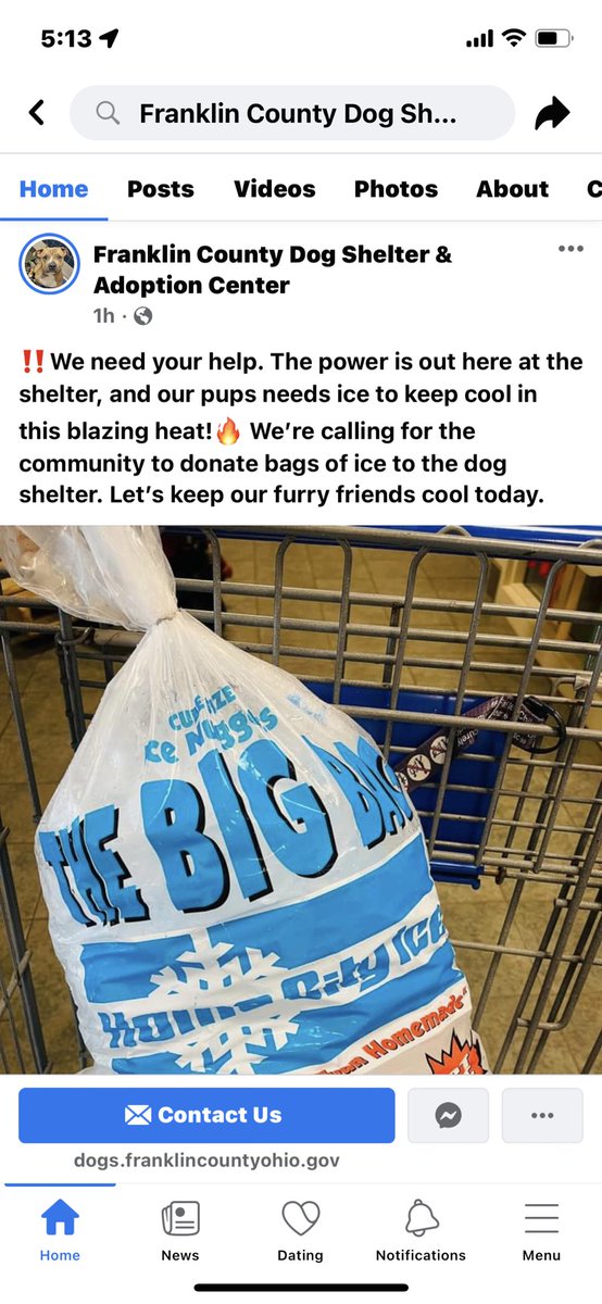 Lobtr69's tweet photo. 🚨Franklin County Dog Shelter is in the middle of a power outage with no air conditioning 🚨

If you have a moment today, they need people to bring a few bags of ice to help cool the pups down https://t.co/c0UeKchcqZ