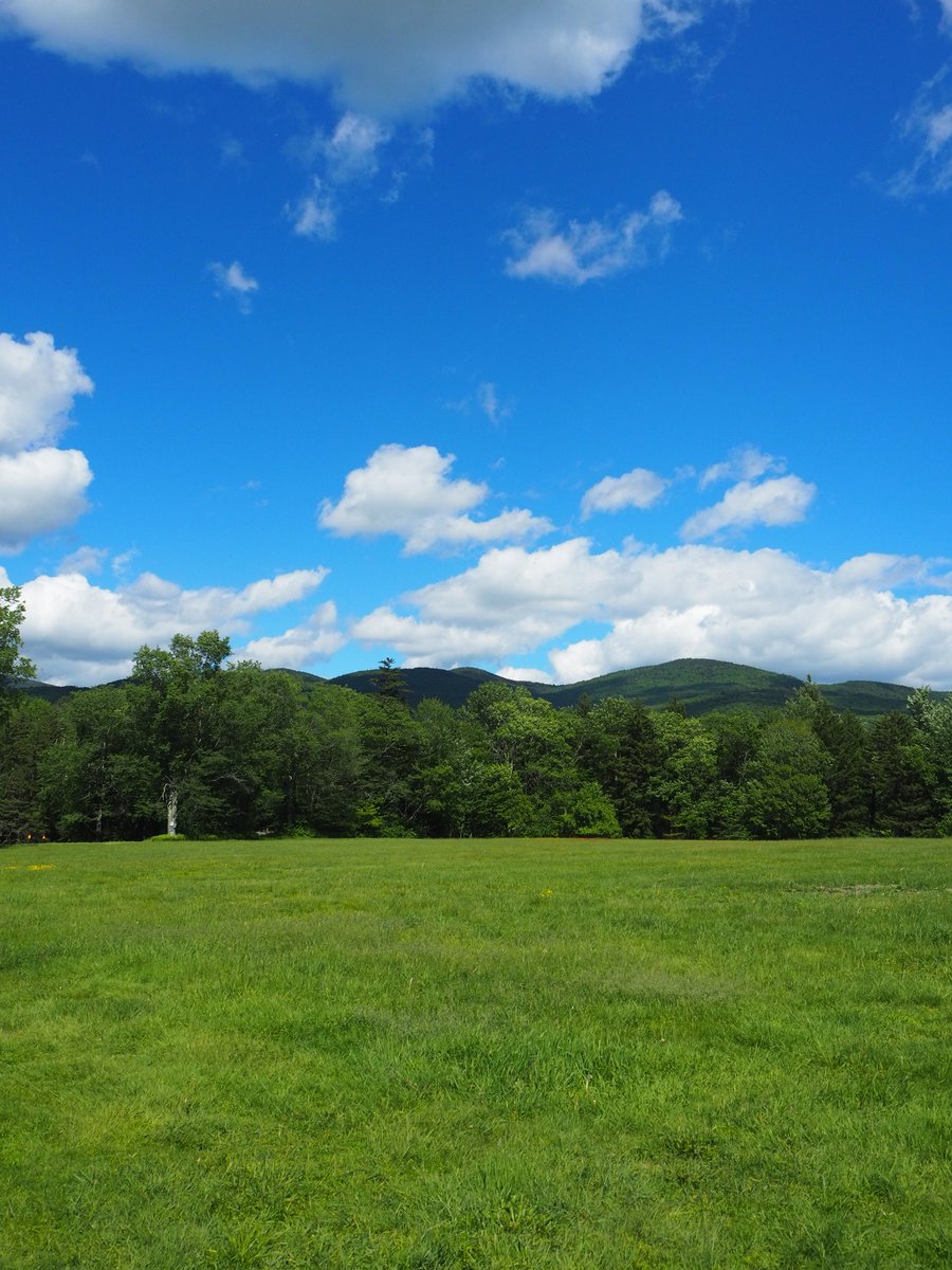 pitchaya's tweet image. Into the woods: from today's #BreadLoaf2022 nature walk with Middlebury environmental studies professor Marc Lapin. #BreadLoaf #BLWC