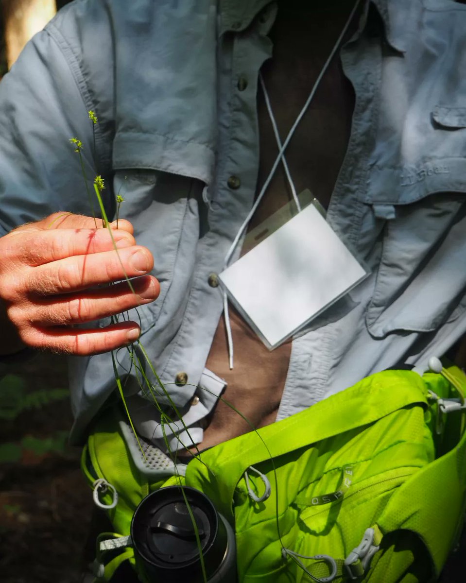 pitchaya's tweet image. Into the woods: from today's #BreadLoaf2022 nature walk with Middlebury environmental studies professor Marc Lapin. #BreadLoaf #BLWC