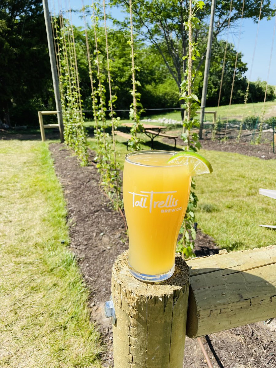 Tall Trellis Brew Co. (@talltrellis) on Twitter photo We’ve officially released our first beer brewed on-site here at <a href="/talltrellis/">Tall Trellis Brew Co.</a>. This Margarita Gose features coriander, sea salt, lime zest, and Comet hops from @kansashopco. At 4.2% ABV it’s the perfect crusher for temps around 💯. Get it before it’s gone!!! 🍺☕️ #talltrellis We’ve officially released our first beer brewed on-site here at <a href="/talltrellis/">Tall Trellis Brew Co.</a>. This Margarita Gose features coriander, sea salt, lime zest, and Comet hops from @kansashopco. At 4.2% ABV it’s the perfect crusher for temps around 💯. Get it before it’s gone!!! 🍺☕️ #talltrellis