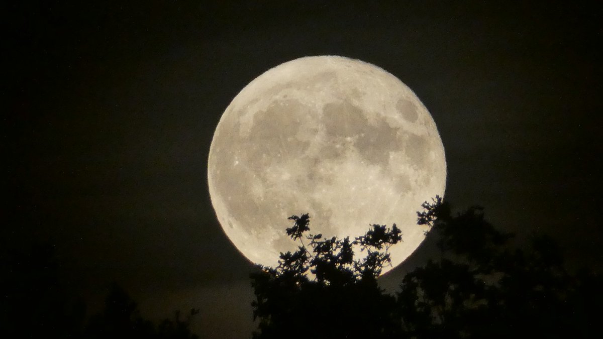 EnricoKliemann's tweet photo. #Vollmond über #Trebendorf https://t.co/5OhfzZMUrZ