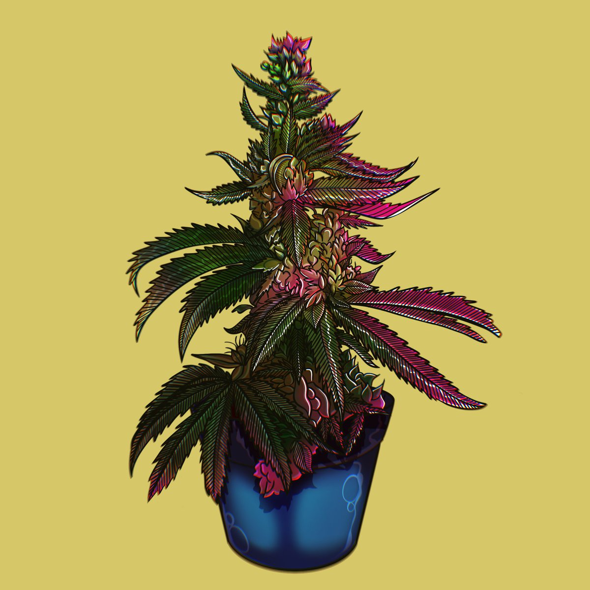 We are proud to introduce the FARM. Once we have our TSF cannabis farm ready, we will be introducing raffles for you to own a full plant 🪴 However in the meantime, we have collaborated with a grower in Europe that will sell the raffled buds for you 😉🐸 #RIBBIT