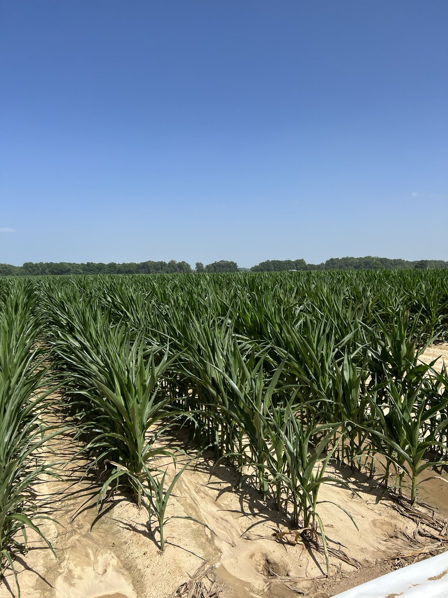 lhookerrogers's tweet photo. Great to get out of the office and walk A6659 on new customers!!! 🌽❤️ https://t.co/6zQ2jPuWm0