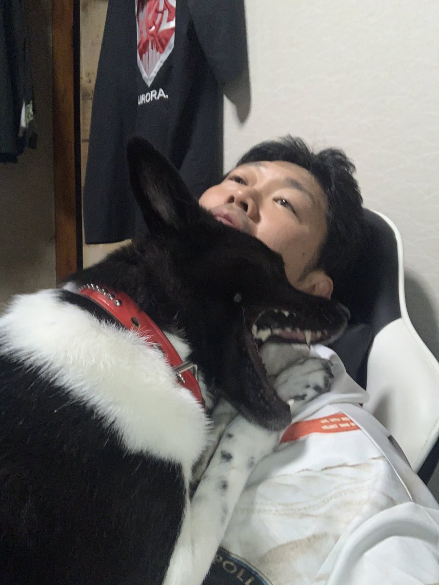 Hama350's tweet photo. 毎日朝起きるだけで大喜びしてくれる。
「ハナコ」のコントを思い出すな。 https://t.co/MZozdddB85