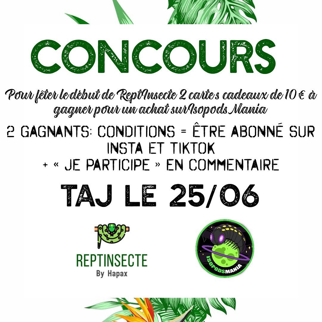 ReptInsecte's tweet image. #Concours 

Si vous êtes intéressé par les #insects #phasme #mantes #isopodes #myriapode etc.. ce concours est pour vous ! ✌️

Rendez vous sur instagram.com/reptinsecte?ig… pour participer ☺️