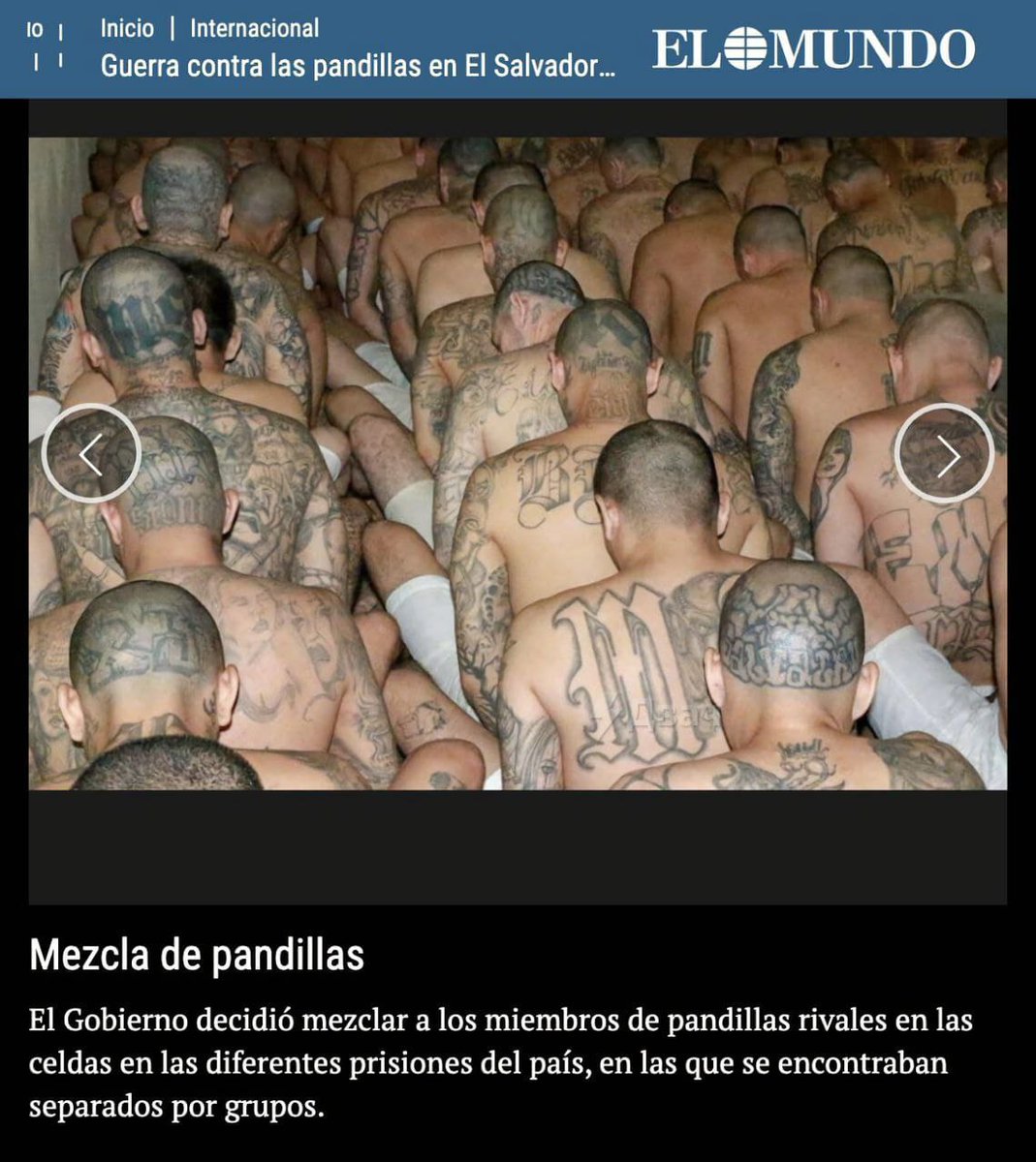 ViperF1 tweet media