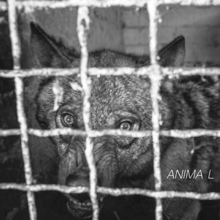 Glad to be involved in this great project
“ANIMA L“ 

The compilation was thought to help animals who are victims of war in Ukraine and all proceeds will be donated to the <a href="/HumaneSociety/">Humane World for Animals</a> 
animal-va.bandcamp.com/album/anima-l
