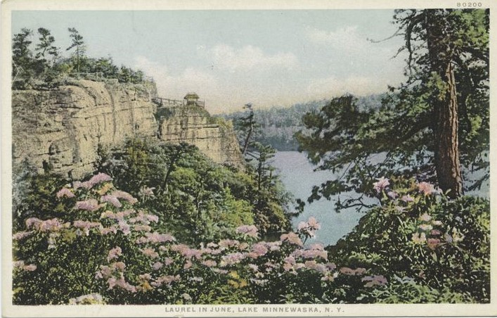 KalbMarple's tweet photo. It's mountain laurel season...
#vintage postcard from the NYPL Digital Collections.
#vintagstyle #Flowers #gardens #scenicview #histfic #HistoricalRomance #mystery #mysterywriter https://t.co/5YvApiiWMG