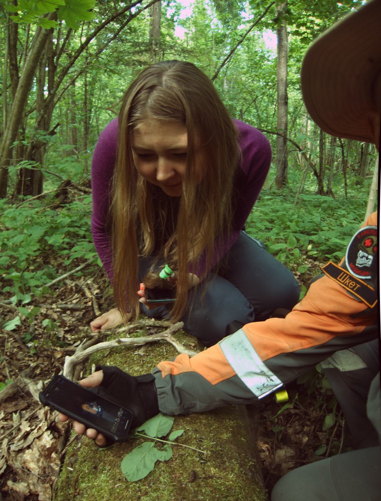 Elena (@snegiren) on Twitter photo 