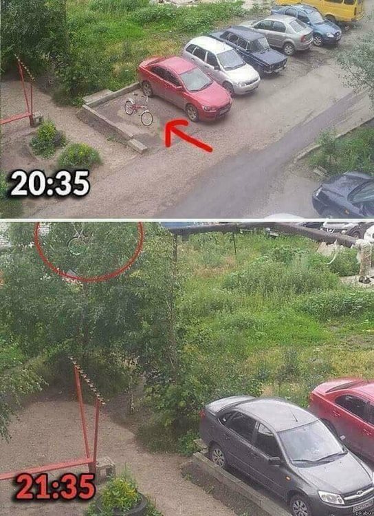 ordure (@ordurebizarree) on Twitter photo 