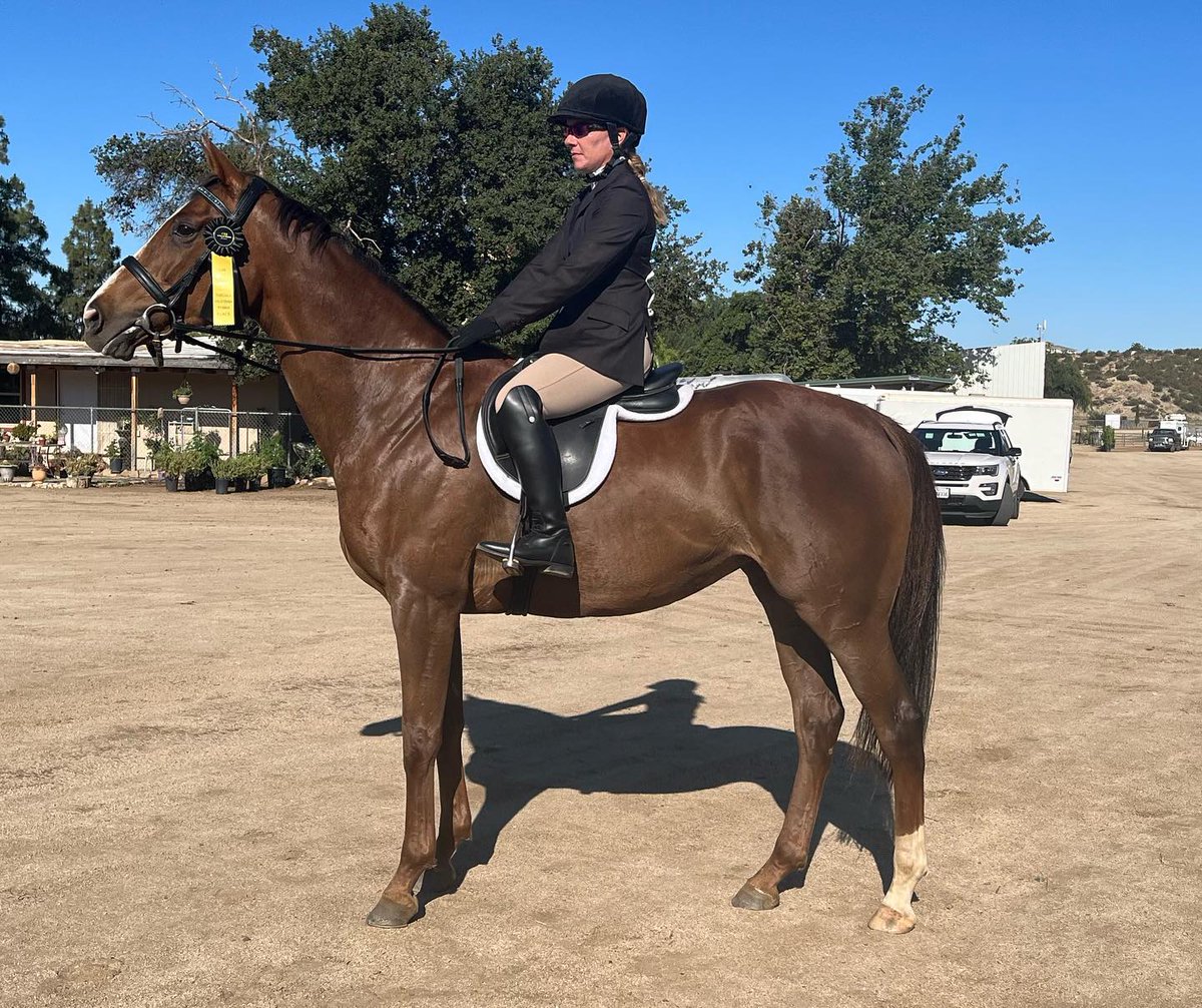 Lisa Bernard Racing Stables & Sport Horses (@lbracingstables) / Posts / X