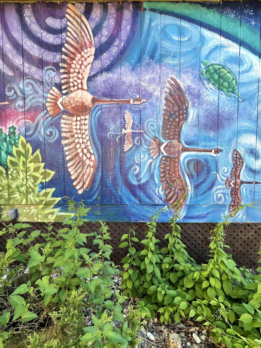 Magical weekend stay at Lil Crow Cabins in <a href="/BAY_OF_QUINTE/">Bay of Quinte Region</a> and <a href="/MBQTMT/">Mohawks of the Bay of Quinte</a>! 😍

Cozy glamping pods 🏕 right on the water with thoughtful touches throughout. A great home base to explore the region’s rich history and culture 🧡 #BayofQuinte #DiscoverON #NIHM2022