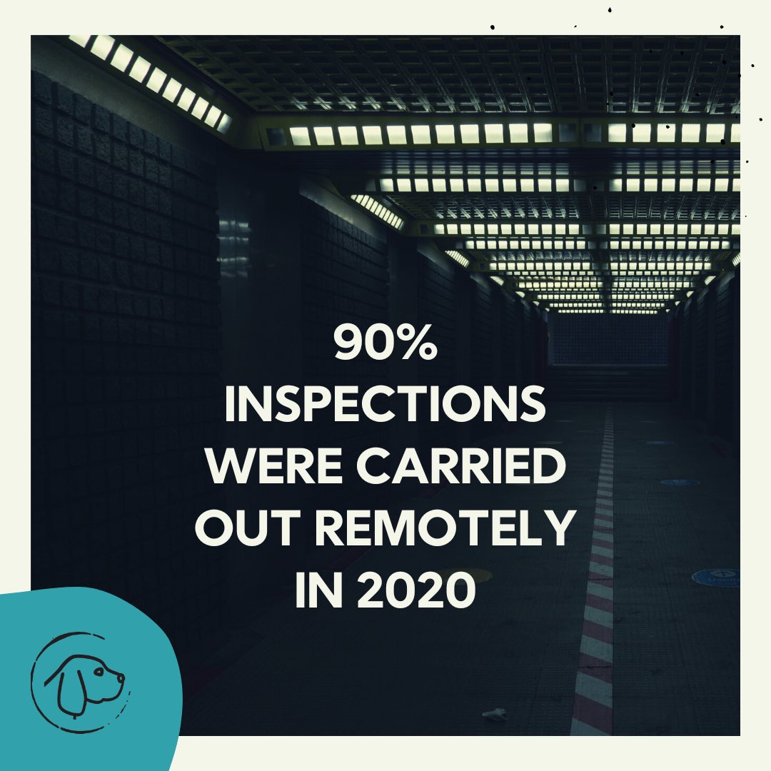 Did you know… there are just 23 ASRU inspectors to oversee every facility & animal held for research purposes in the UK, and now inspections can be virtual😣 You can’t possibly inspect animal welfare virtually?! UK failing to progress yet again 💔 #houndedcampaign