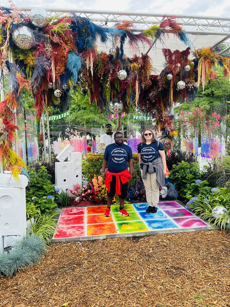 Kayt Diver tweet media