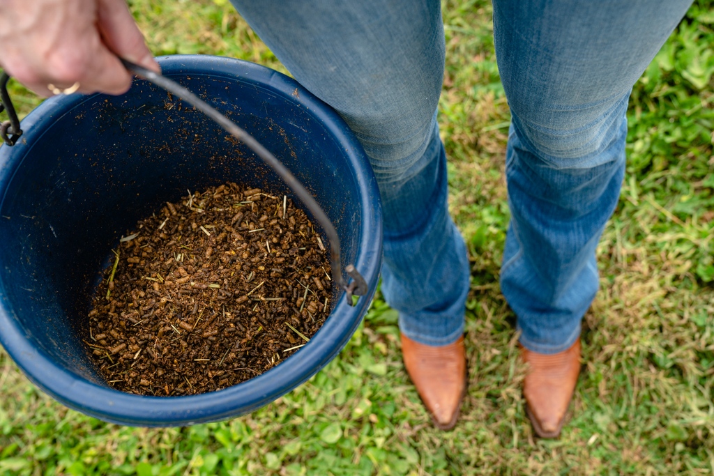 HallwayFeeds's tweet photo. In a 2020 study, KY Equine Research (KER) found that horses were more likely to drink out of turquoise or light blue buckets over red, yellow and green buckets! So get some blue buckets, some #HydraBoost, and keep your horse happy and hydrated this summer! 💙🐴 💦 https://t.co/zw1o1j0fzB