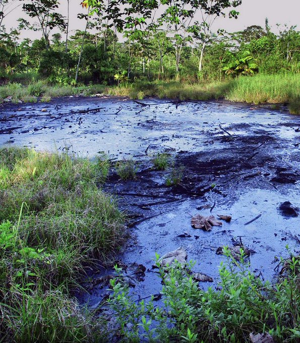 SDonziger's tweet image. AMAZON FRAUD: @Chevron claims it "cleaned" some of its 1,000 unlined waste pits in Ecuador by running dirt over the toxic sludge — sort of like treating cancer with a band-aid. People live on these mounds thinking they are safe. Criminal. 

Chevron: pay to clean up your poison.