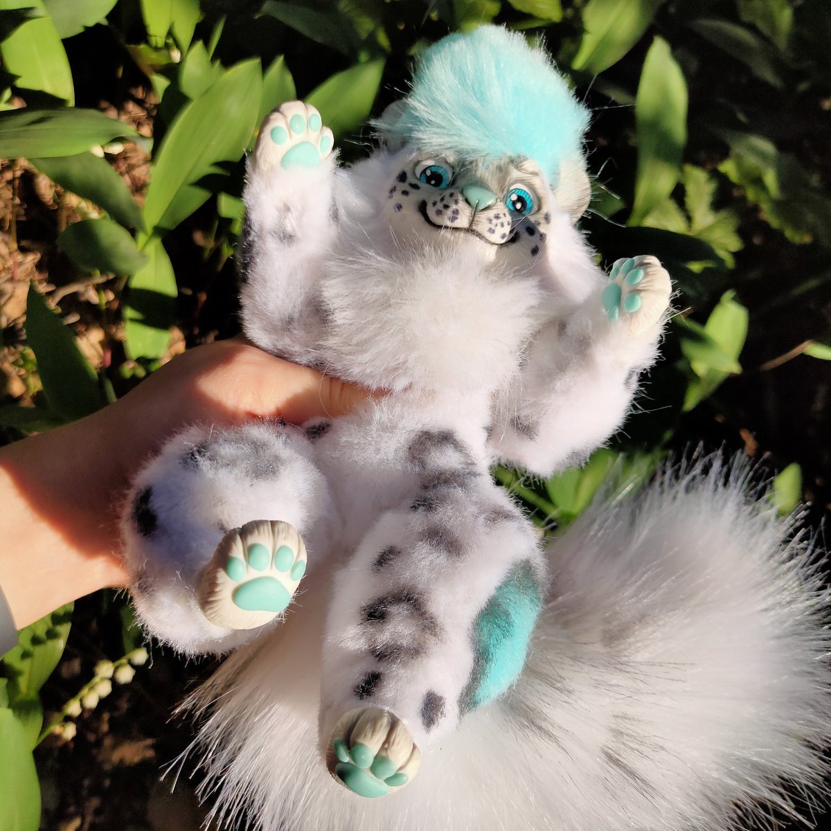CatKrafi's tweet photo. Snow leopard baby Poseable artdoll 💙🌿
Premade for sale 😘
-
-
-
#artdoll #polymerclay #customdoll #poseabledoll #poseableartdoll #glasseyes #furryfandom #furryartist #furryart #furry #furrycommunity #furryartwork #furrycommission #furrydoll #furryleopard #kemonoartdoll #kemono https://t.co/sFGioMqD22