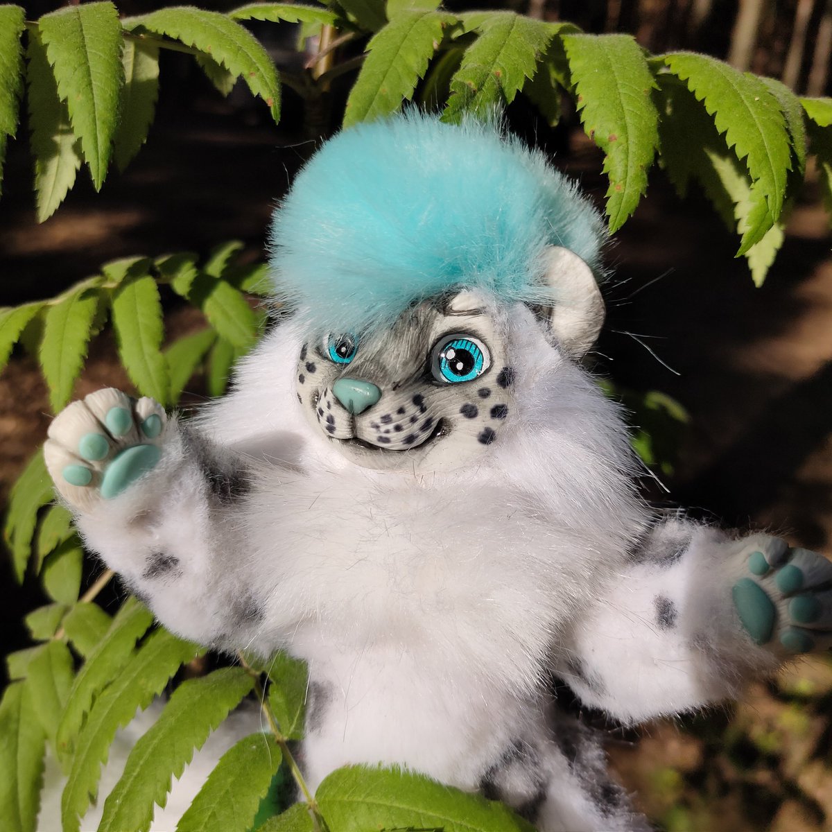 CatKrafi's tweet photo. Snow leopard baby Poseable artdoll 💙🌿
Premade for sale 😘
-
-
-
#artdoll #polymerclay #customdoll #poseabledoll #poseableartdoll #glasseyes #furryfandom #furryartist #furryart #furry #furrycommunity #furryartwork #furrycommission #furrydoll #furryleopard #kemonoartdoll #kemono https://t.co/sFGioMqD22