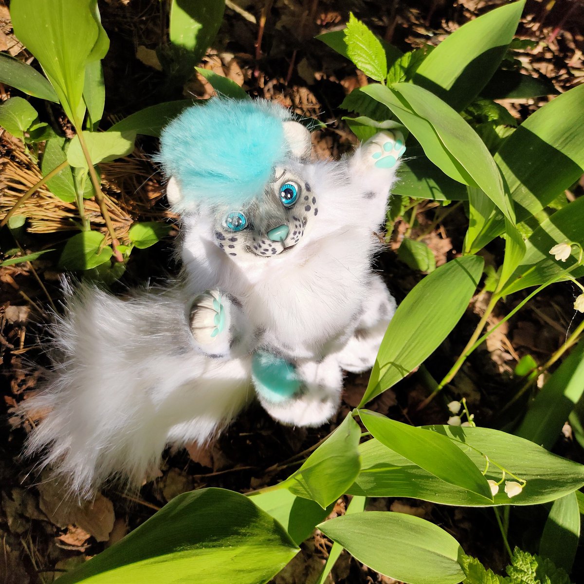 CatKrafi's tweet photo. Snow leopard baby Poseable artdoll 💙🌿
Premade for sale 😘
-
-
-
#artdoll #polymerclay #customdoll #poseabledoll #poseableartdoll #glasseyes #furryfandom #furryartist #furryart #furry #furrycommunity #furryartwork #furrycommission #furrydoll #furryleopard #kemonoartdoll #kemono https://t.co/AEAWfsNYXT