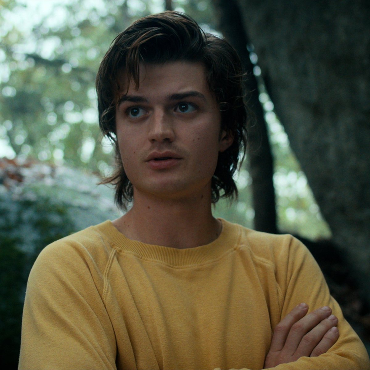 thinkerkeery's tweet photo. steve harrington with the yellow sweater 💋 https://t.co/gcHv9jbdJH
