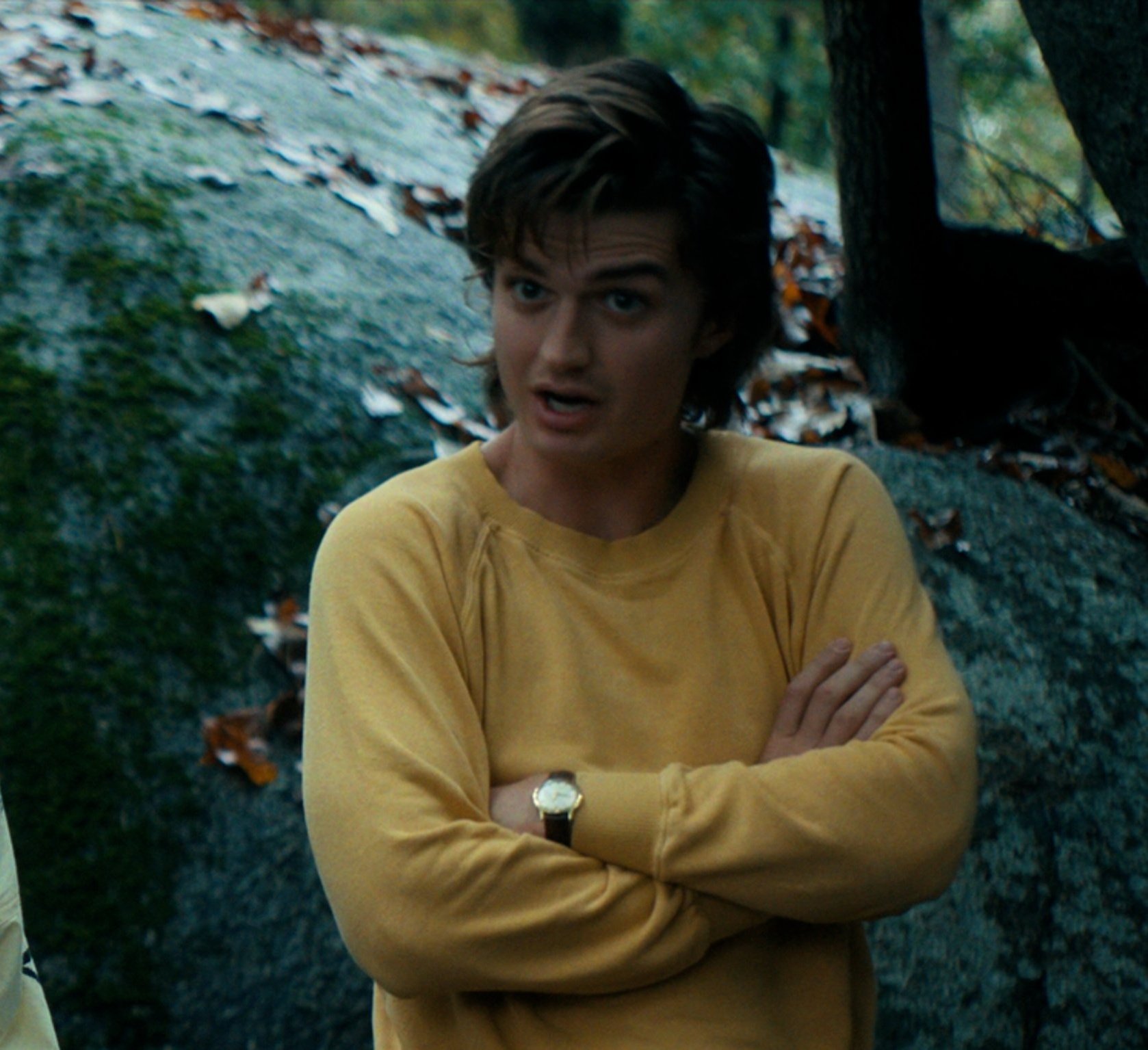 Steve harrington sweater sale